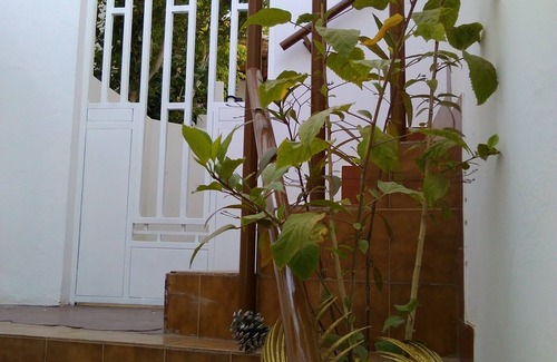 Mindelo House | Holiday house 200 meters from Laginha beach