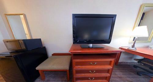 Alexandria Hotel | Holiday Inn Alexandria by IHG