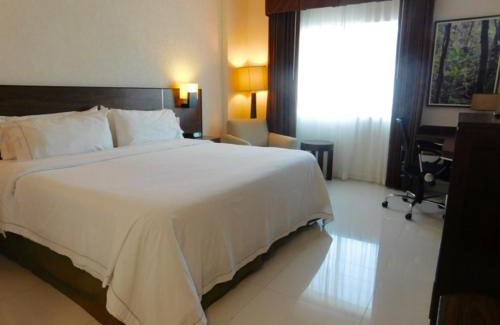 Tuxtla Gutierrez Hotel | Holiday Inn Express Tuxtla Gutierrez La Marimba by IHG