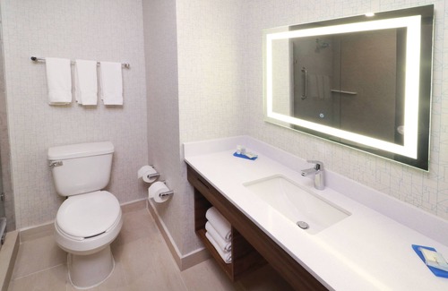 Monterrey Centro Hotel | Holiday Inn Express Monterrey Fundidora by IHG