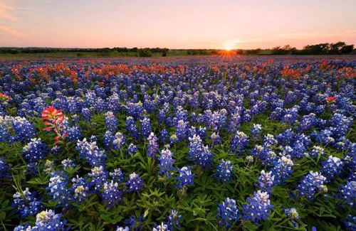 Waxahachie Hotel | Holiday Inn Express & Suites Waxahachie by IHG