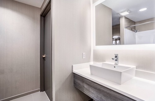 Lafayette Hotel | Holiday Inn Lafayette-City Centre by IHG