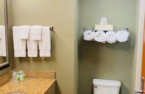 University District Hotel | Holiday Inn University of Memphis All Suite by IHG