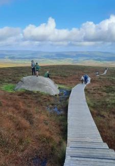 Enniskillen Apartment | Holllie View