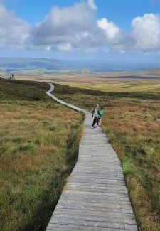 Enniskillen Apartment | Holllie View