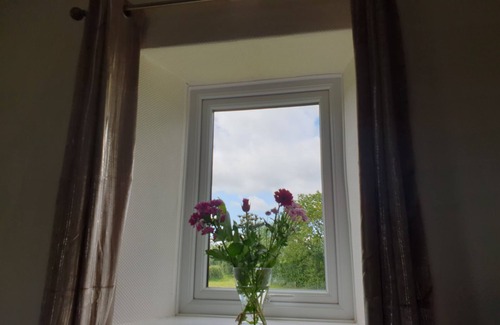 Walworth House | Home away from home, 3 bed cottage with hot tub and pool table