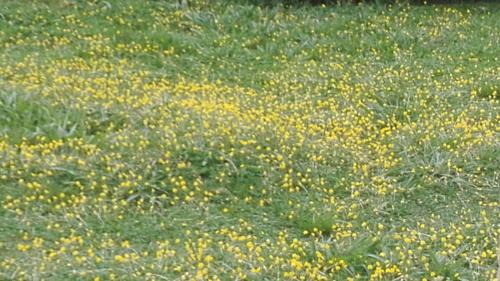 Pacuare Reserve House | Home in the mountains