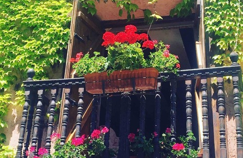 Cabra de Mora House | Homerez - House in Cabra de Mora