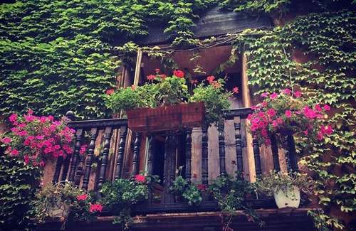 Cabra de Mora House | Homerez - House in Cabra de Mora