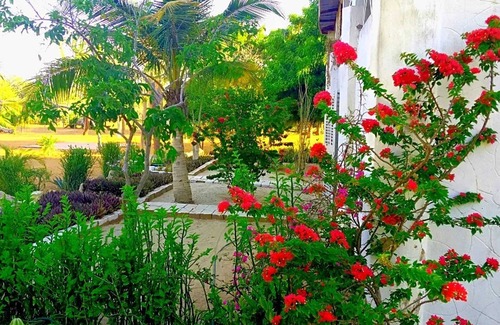 Ifaty House | Homerez - House near the private beach