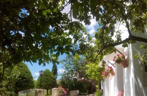 Priego de Cordoba Villa | Homerez - Villa for 10 ppl. with swimming-pool and terrace at Priego de Córdoba