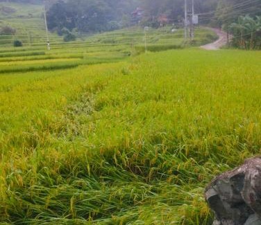 Kho Muong Apartment | Homestay Hoanh Thắng