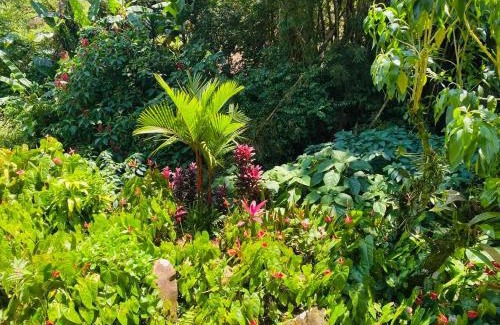 Quesada Hotel | Hospedaje Angeluz