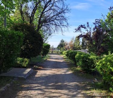 Talca Bed & Breakfast | Hospedaje Casa Betalpu