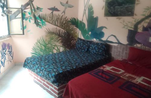 Comitan de Dominguez House | Hospedaje los foraneos