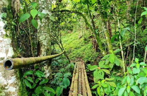 Pance Hotel | Hospedaje Pance Arí Munani Reserva Natural