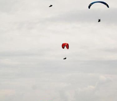 Zona Cafetera Apartment | Hostal 63