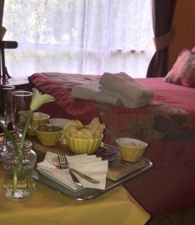 Valdivia House | Hostal del Muelle