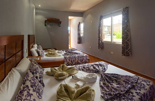 Trinidad House | Hostal Doña Cristina de Anita y Manel