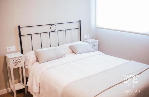Badajoz House | HOSTAL ENTREOLIVOS