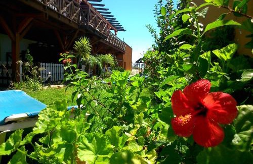 Mazagon House | Hostal Playa Mazagon (El Remo)