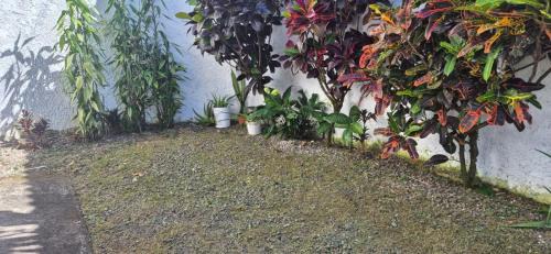 San Vicente Bed & Breakfast | Hostal Zurgab