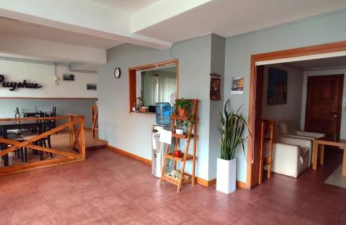 Centro Hotel | Hosteria Puyehue