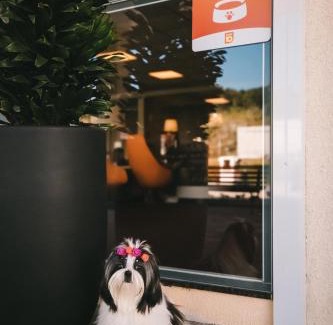 Sao Joao Batista Hotel | Hotel 10 São Leopoldo