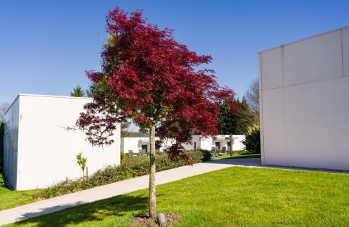 Arzua Hotel | Hotel A Curuxa Wellness