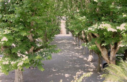 Cassino Hotel | Hotel Atlântico Praia Cassino Rio Grande