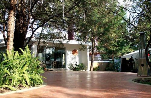 San Cristobal de las Casas Hotel | Hotel Bosques del Sol Suites