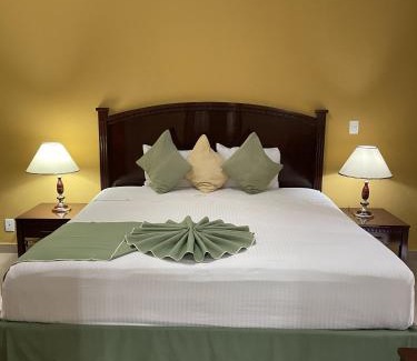 Iguala de la Independencia Hotel | Hotel Centenario