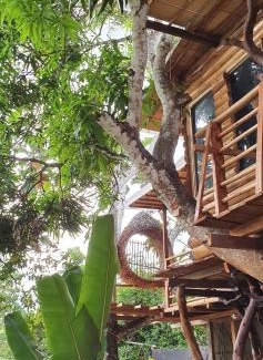 Inirida Hotel | Hotel Cabaña Guainiana