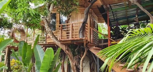 Inirida Hotel | Hotel Cabaña Guainiana