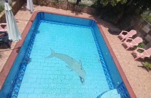 Cortes Hotel | Hotel Coco Palm