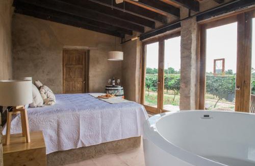 Colon Cabin | Hotel de Tierra Viñedo y Spa - Aeropuerto Querétaro