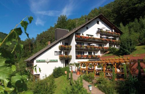 Erfweiler Hotel | Hotel Die Kleine Blume