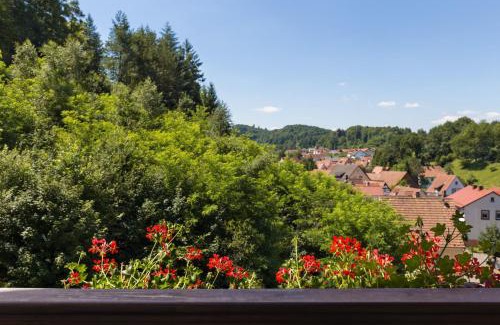 Erfweiler Hotel | Hotel Die Kleine Blume
