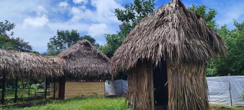 Inirida Hotel | Hotel-ECOPOSADA KARANÁ NATIVA, SONIDOS DE LA SELVA