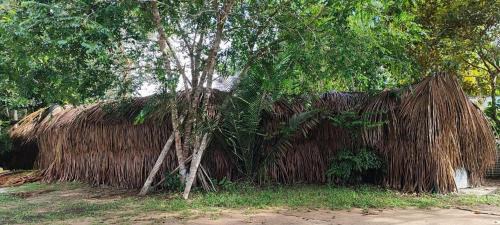 Inirida Hotel | Hotel-ECOPOSADA KARANÁ NATIVA, SONIDOS DE LA SELVA