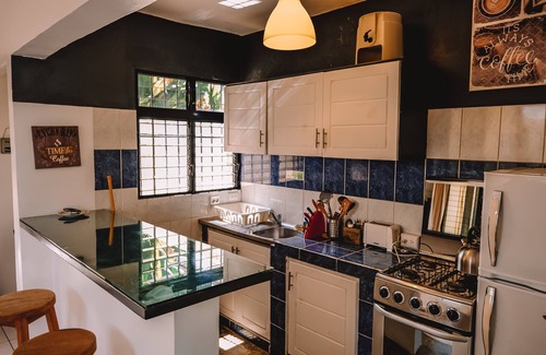 La Ceiba Hotel | Hotel Enjoy