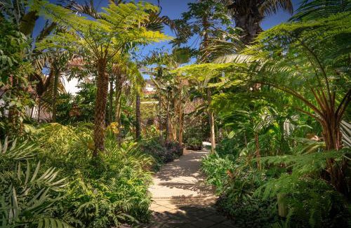 Tazacorte Hotel | Hotel Hacienda de Abajo-Adults Only-Lujo