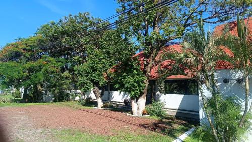 Yautepec Hotel | Hotel Iguanas