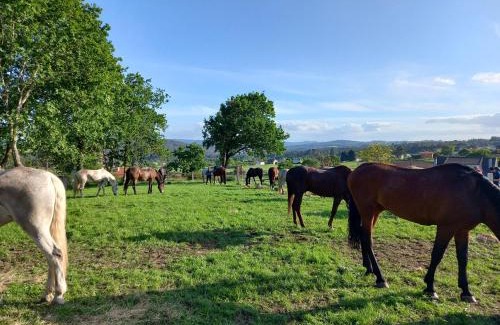 Arzua House | Hotel La Puerta de Arzúa