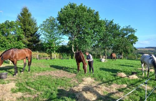 Arzua House | Hotel La Puerta de Arzúa