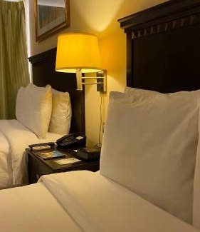 Punto Fijo Hotel | Hotel Las Palmas Inn