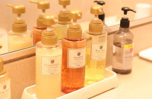 Matsumoto Hotel | Hotel Montagne Matsumoto - Vacation STAY 73660v