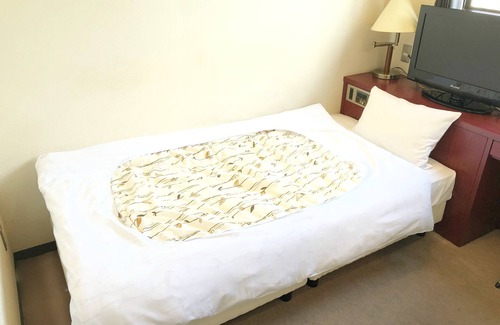 Tanabe Hotel | Hotel Nankairo