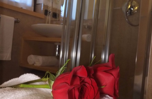 Ziano di Fiemme Hotel | Hotel Nele