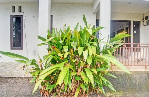 Manado Hotel | Hotel O Kost 99